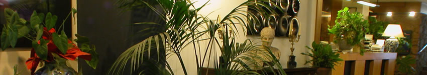rome lodging