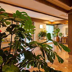 Lounges